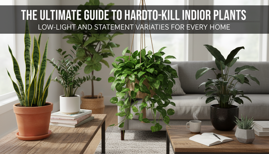 The Ultimate Guide to Hard-to-Kill Indoor Plants: Low-Light and Statement Varieties for Every Home