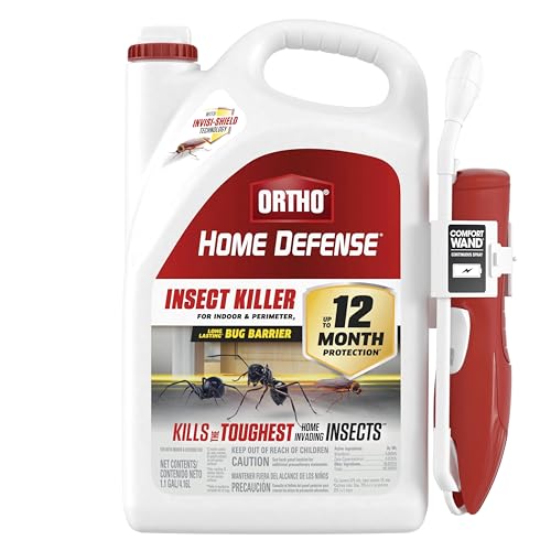 Dealing with an ant infestation in your home can b