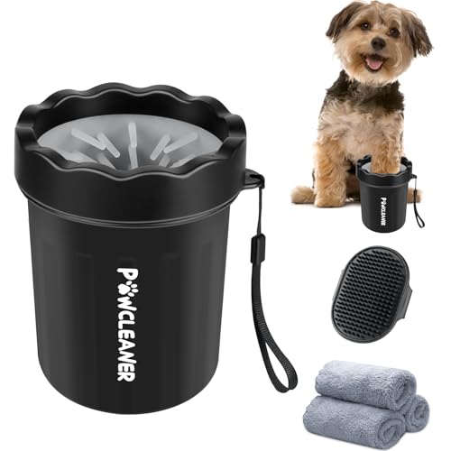 Choosing the perfect medium-sized dog for your hom