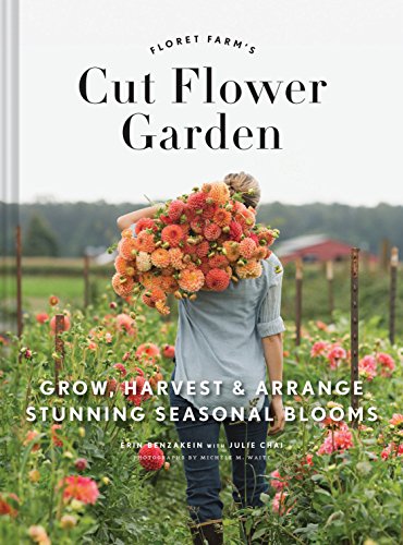 Elevate your garden’s beauty with flowering shrubs