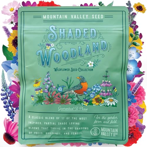 Transform your shady spaces into vibrant gardens w