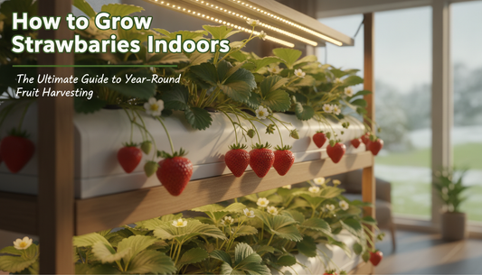 How to Grow Strawberries Indoors: The Ultimate Guide to Year-Round Fruit Harvesting