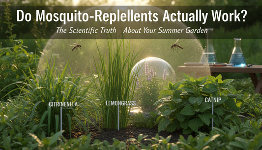 Do Mosquito-Repellent Plants Actually Work? The Scientific Truth About Your Summer Garden