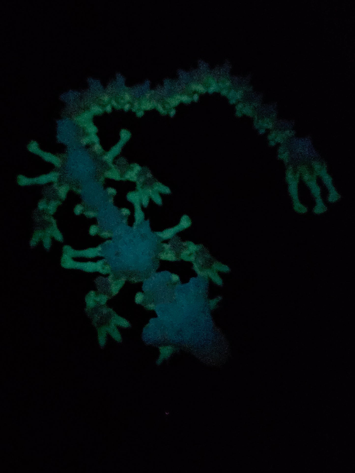 DRAGON -Bone Collector
