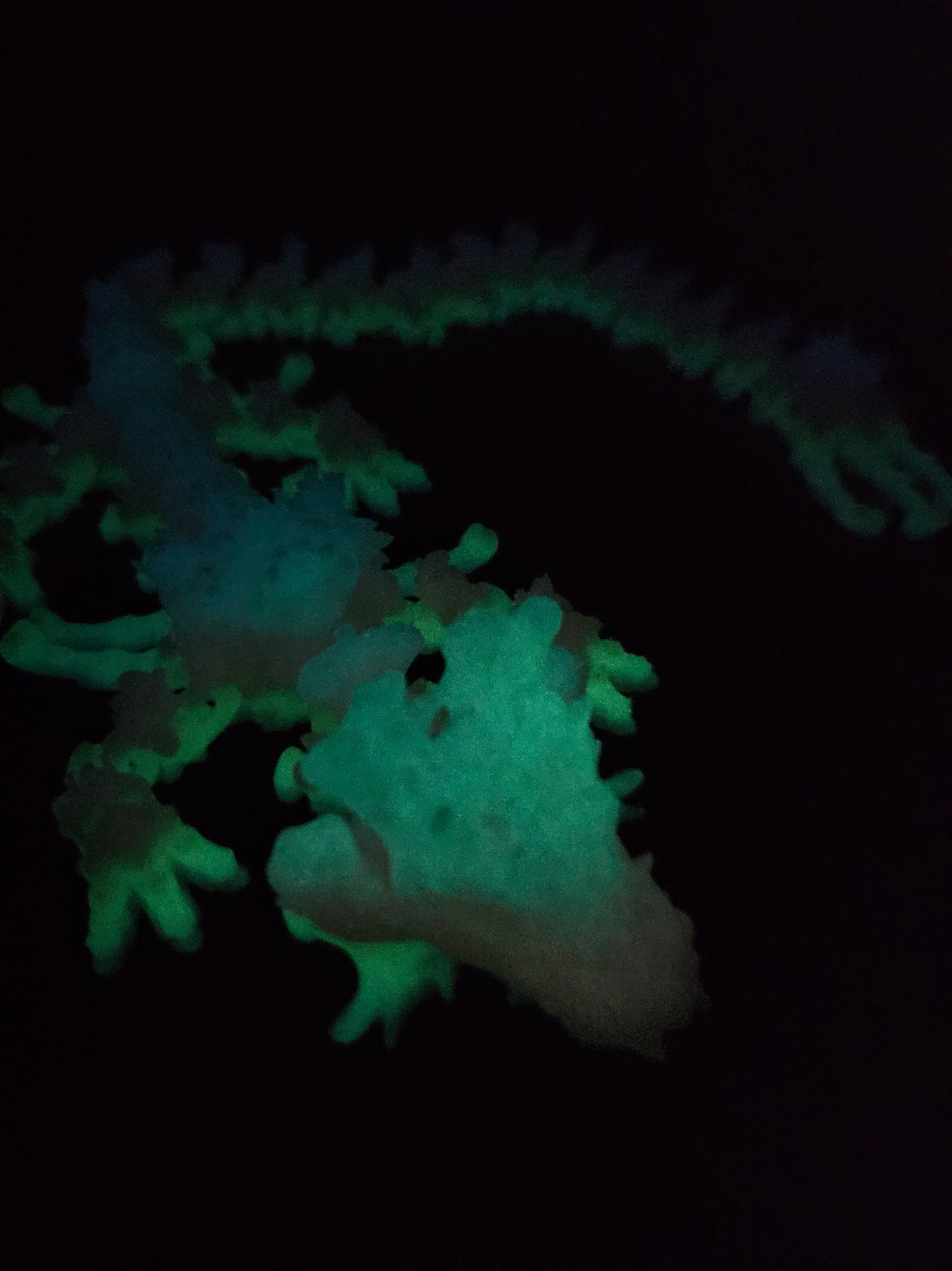 DRAGON -Bone Collector
