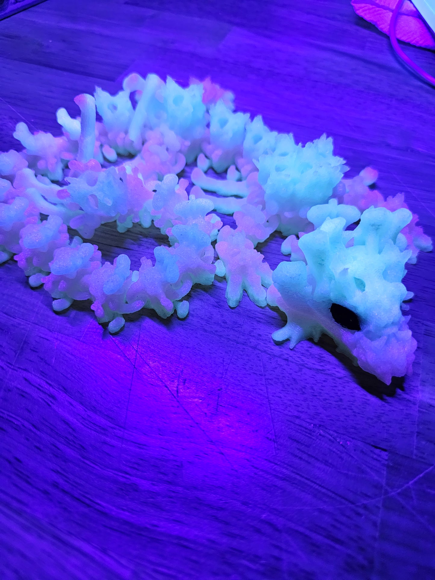 DRAGON -Bone Collector
