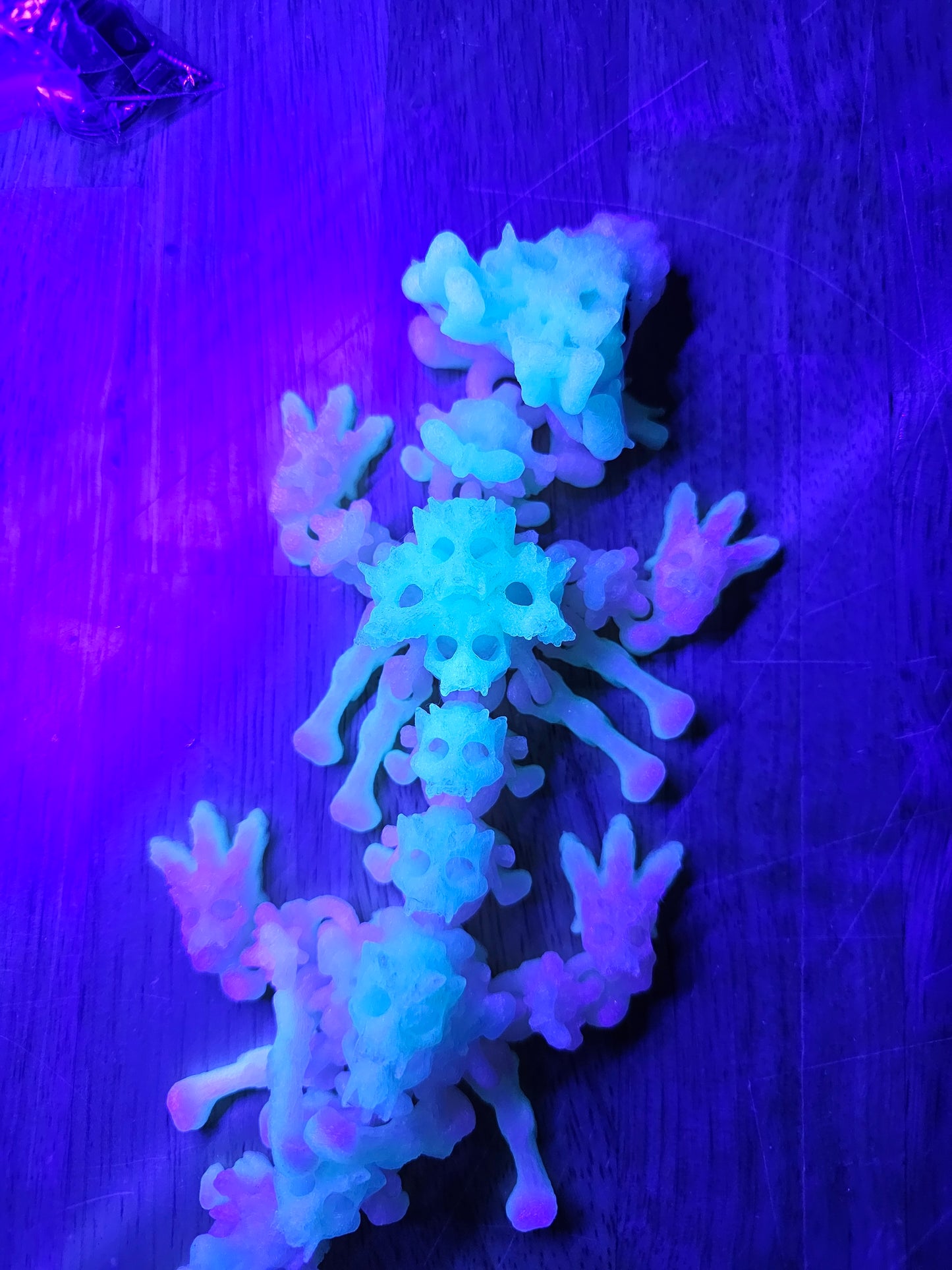 DRAGON -Bone Collector