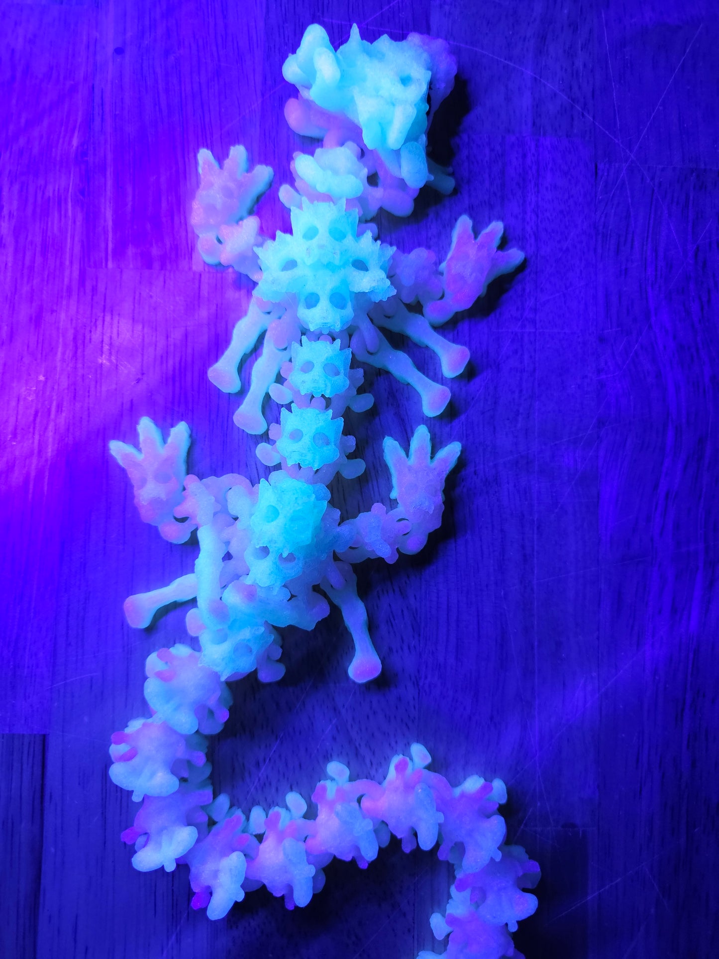 DRAGON -Bone Collector