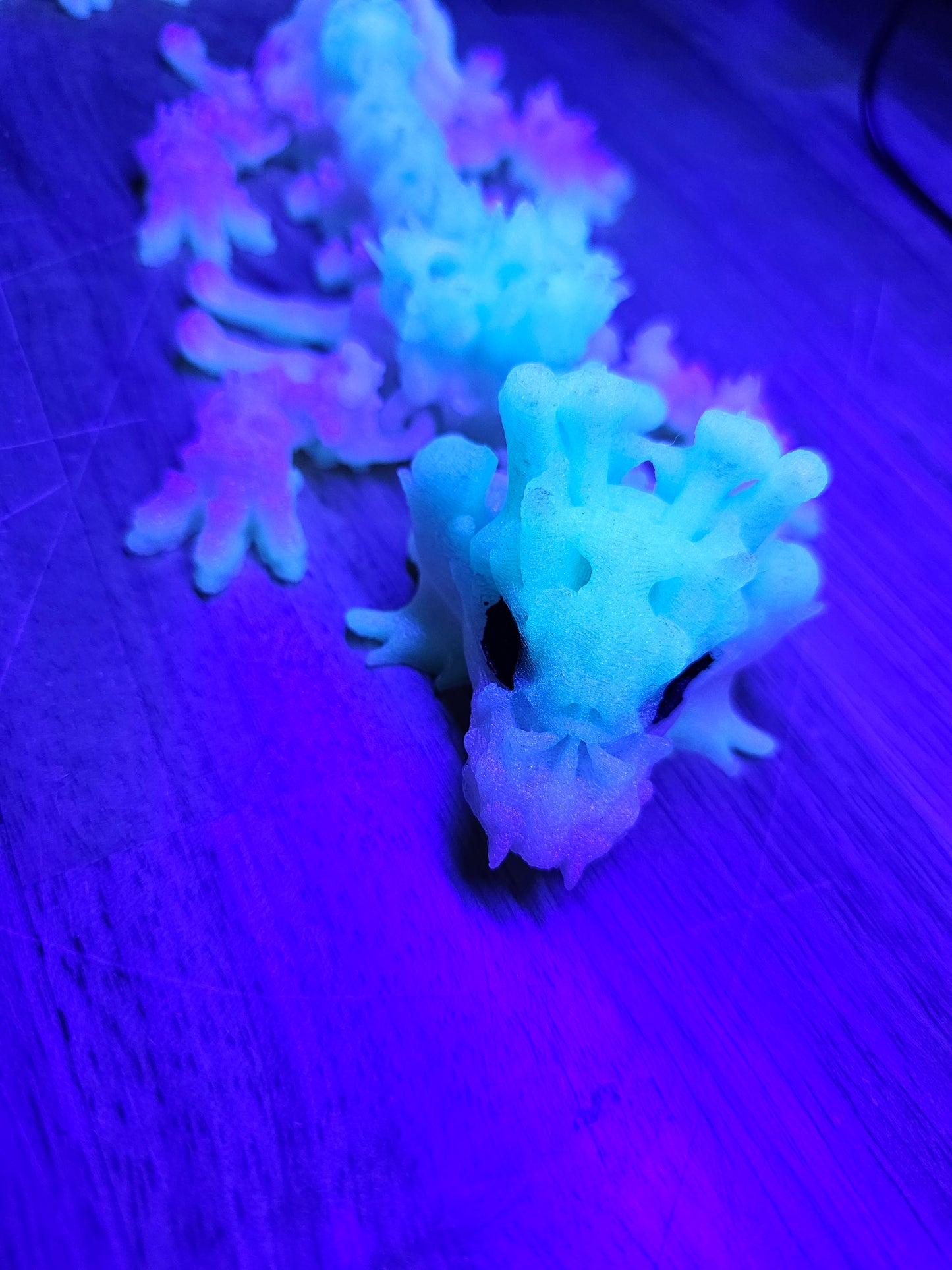 DRAGON -Bone Collector