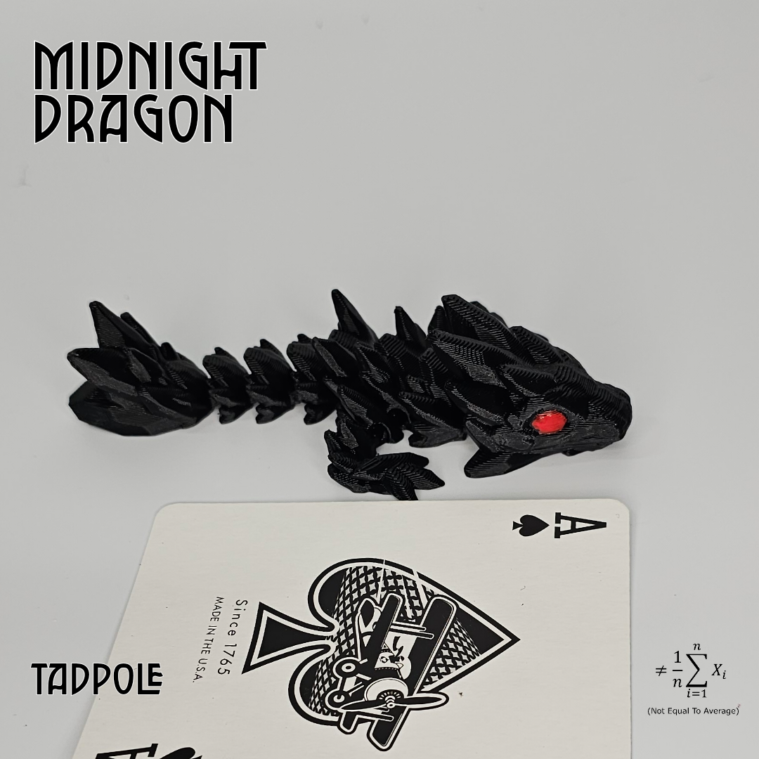Midnight Dragons
