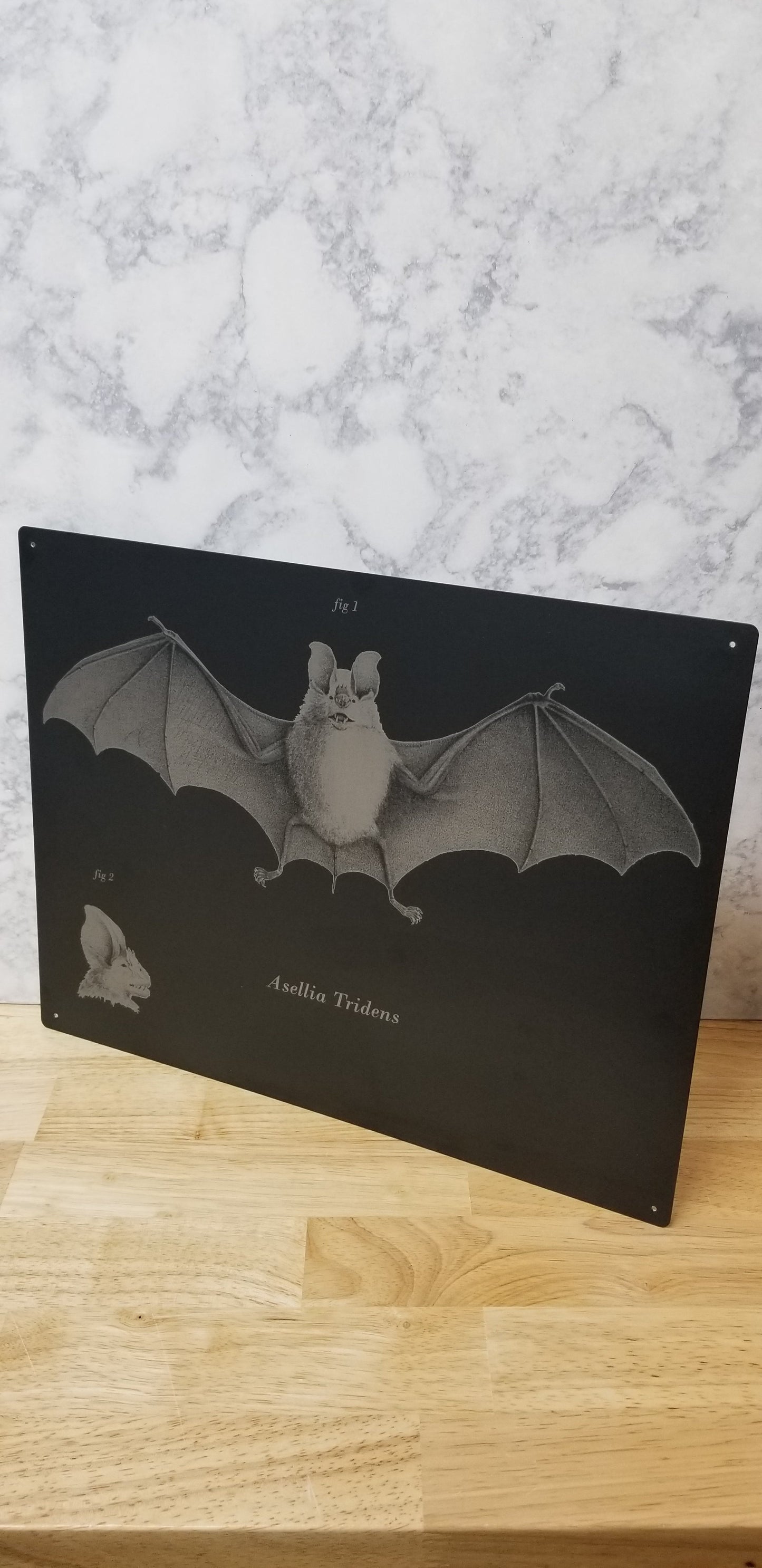 Bats Wall Decor